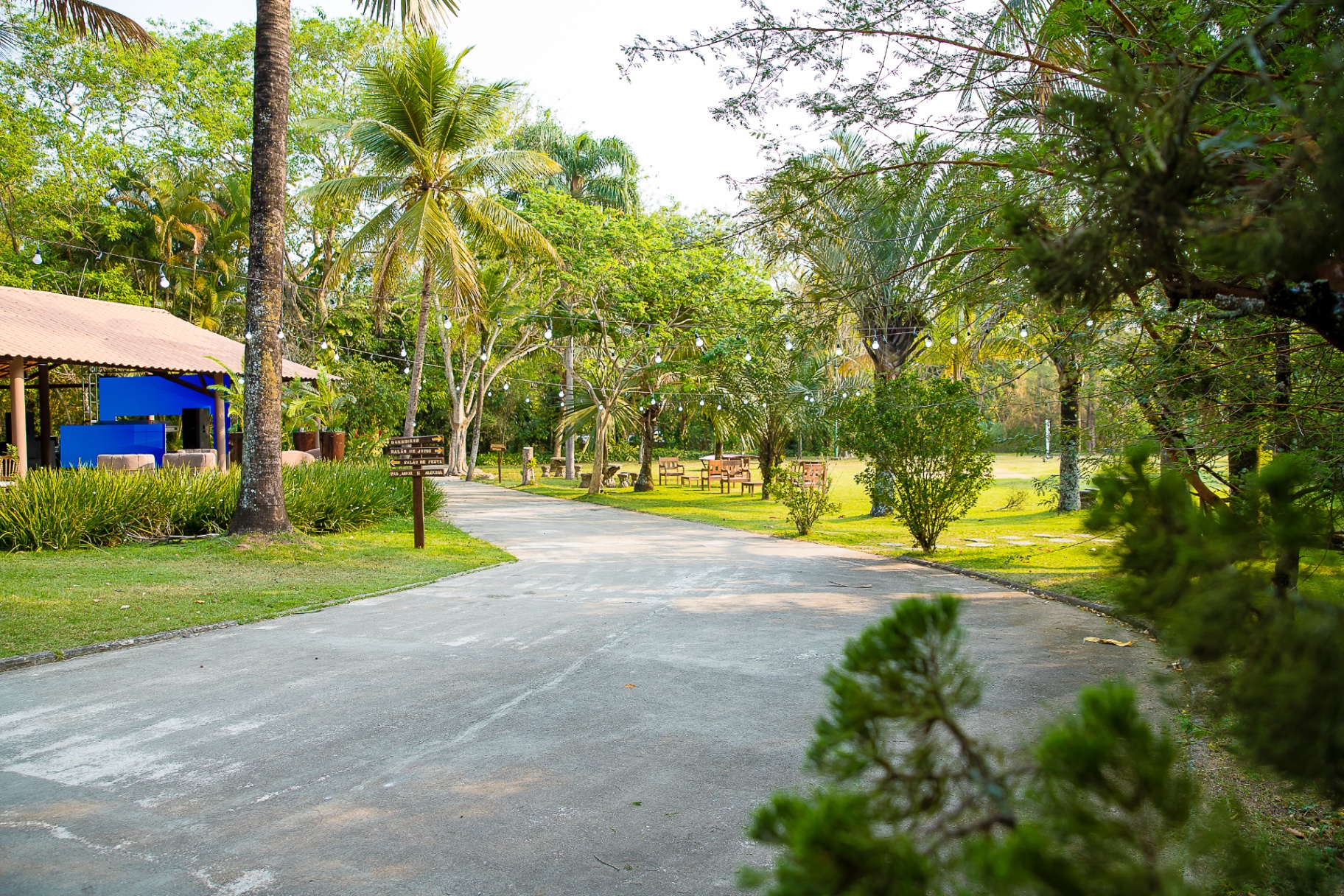 Caminho arborizado no Bosque das Palmeiras