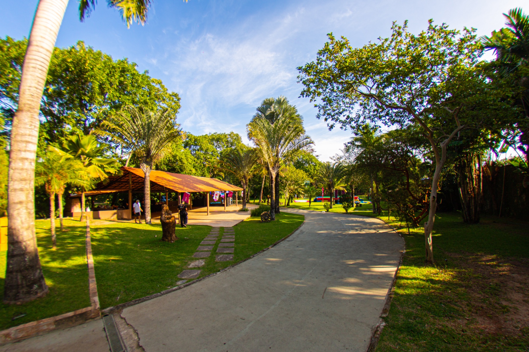 Pavilhão coberto cercado por palmeiras